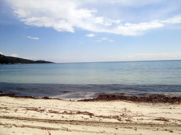 Land In Thasos, Greece