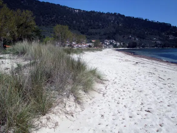 Land In Thasos, Greece