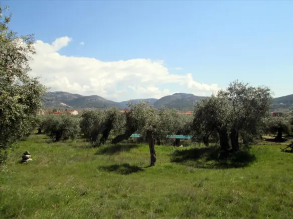 Land In Thasos, Greece