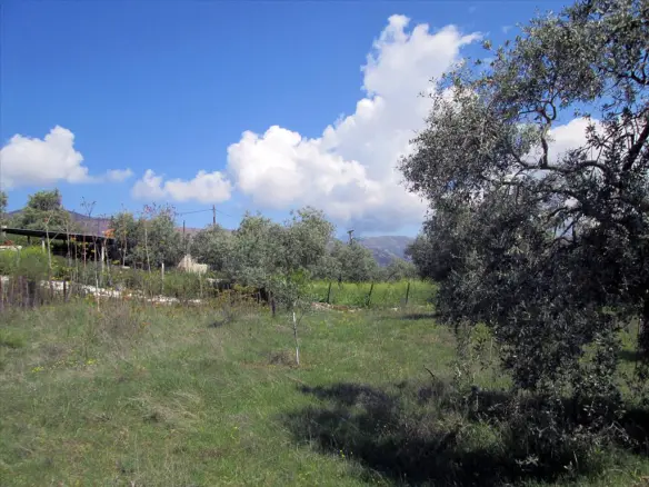 Land In Thasos, Greece