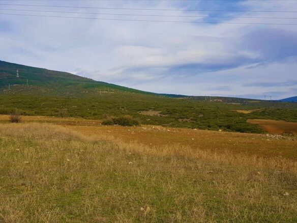 Land In Thermi, Greece