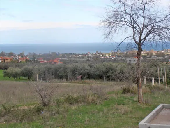 Detached House In Greece (80 M²)