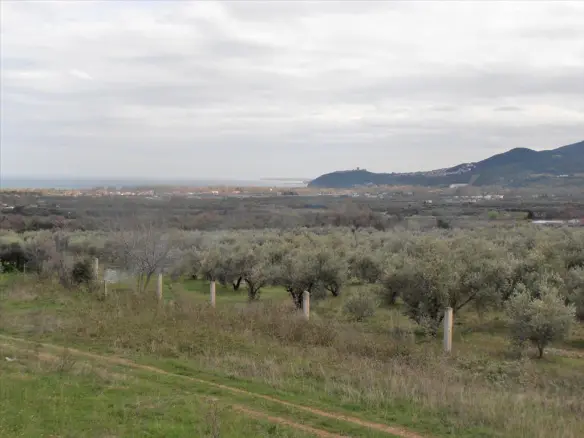 Detached House In Greece (80 M²)