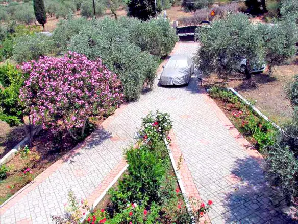 Detached House In Thasos, Greece (300 M²)