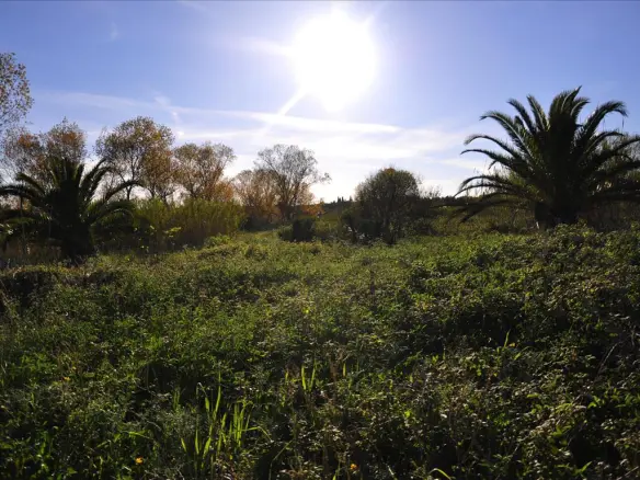 Land In Corfu, Greece