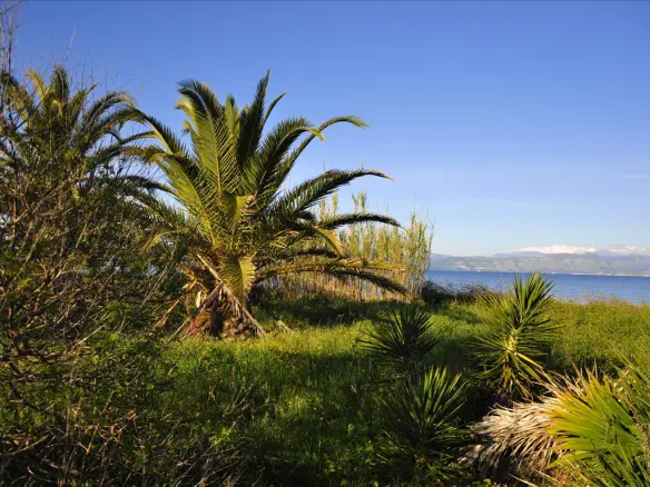 Land In Corfu, Greece