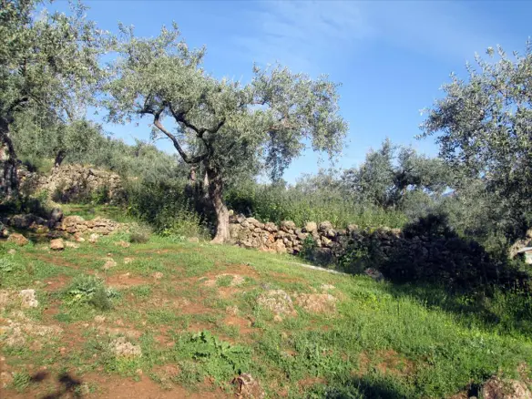 Land In Thasos, Greece