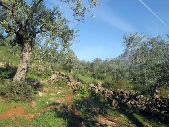 Land In Thasos, Greece