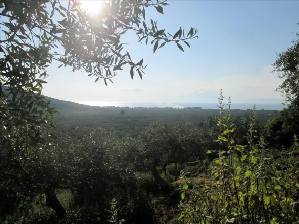 Land In Thasos, Greece