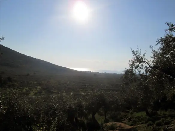 Land Plot Of 5365 M² Available On Thassos Island
