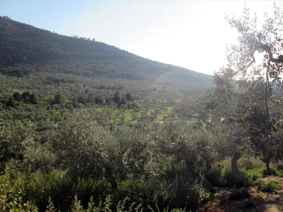 Land In Thasos, Greece