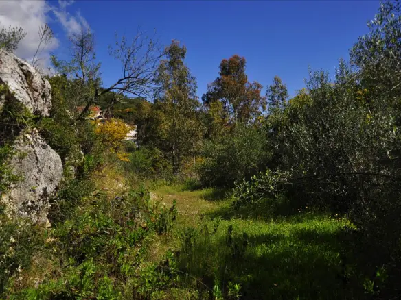 Land In Corfu, Greece
