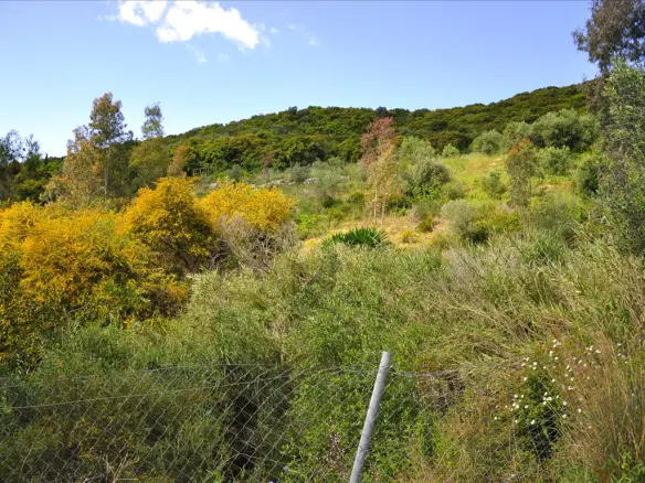 Land In Corfu, Greece