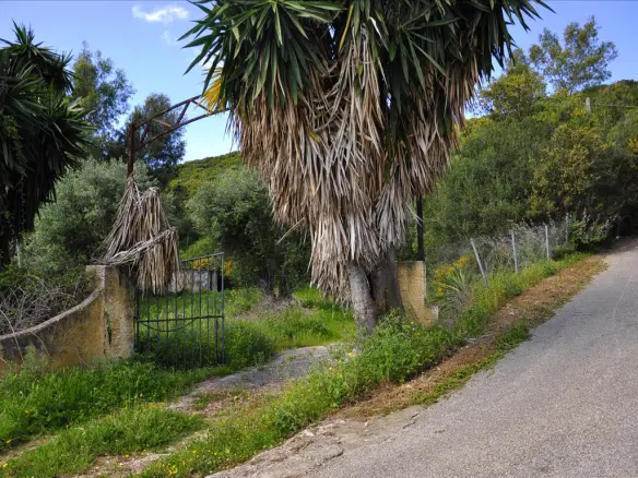 Land In Corfu, Greece