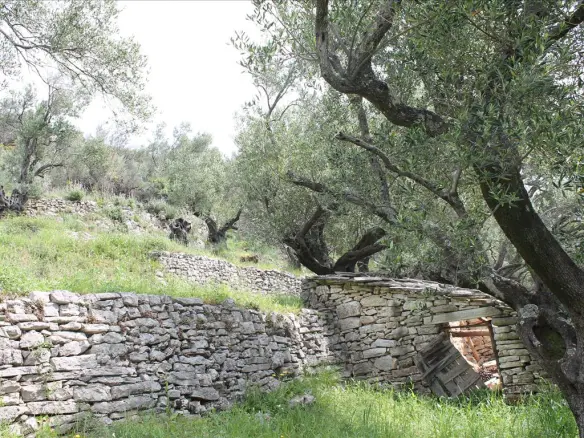 Land In Corfu, Greece