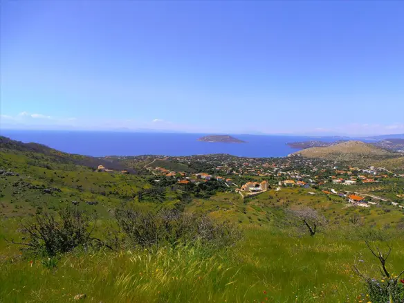 Land In Anavissos, Greece (7.000 M²)