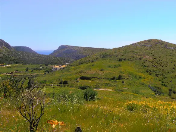 Land In Anavissos, Greece (7.000 M²)