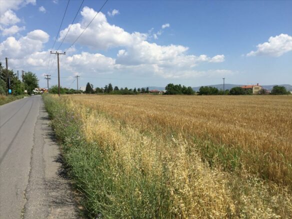 Land In Thermi, Greece