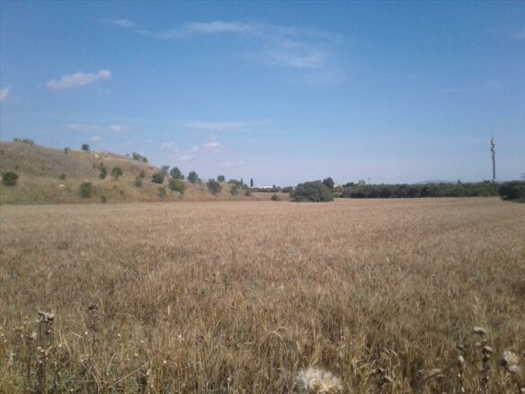 Land In Pylea, Greece