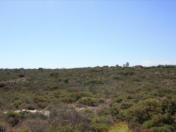 Land In Akrotiri, Greece