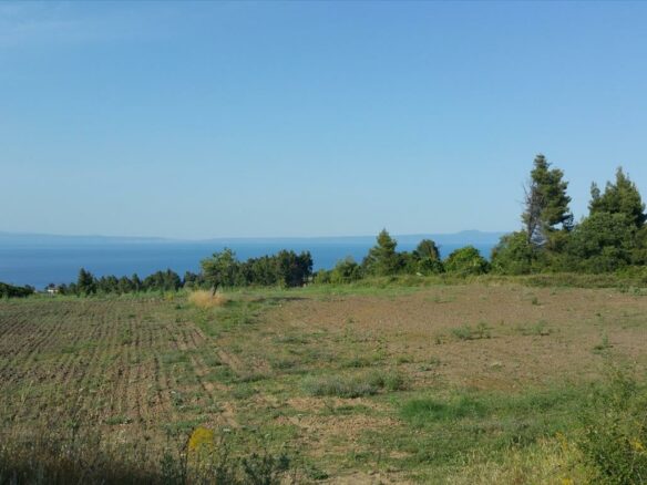 Land In Kassandra, Greece (14.625 M²)