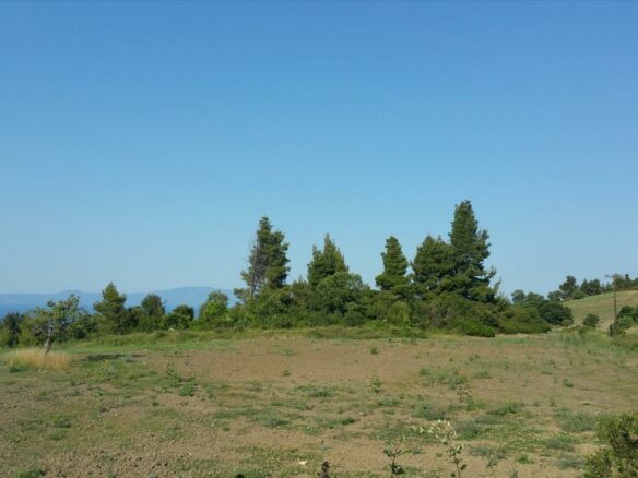 Land In Kassandra, Greece (14.625 M²)