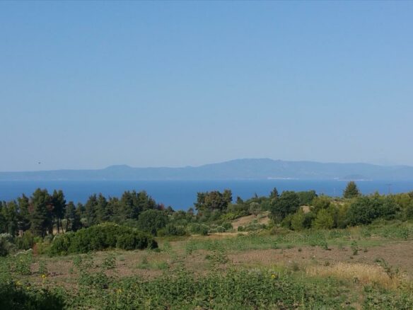 Land In Kassandra, Greece (14.625 M²)