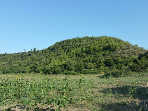 Land In Kassandra, Greece (14.625 M²)