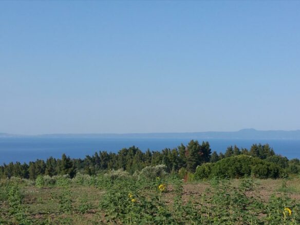 Land In Kassandra, Greece (14.625 M²)
