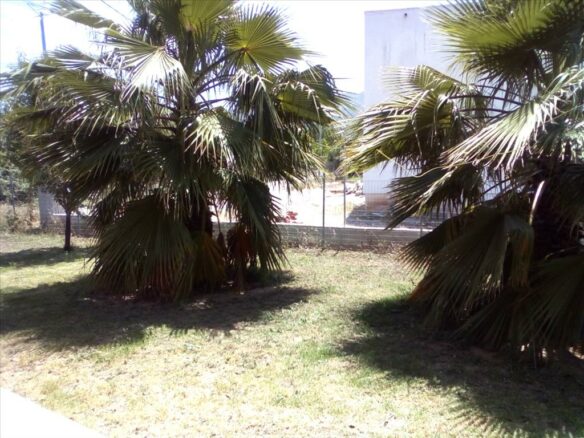 3-bedroom Detached House In Aigio, Greece (160 M²)
