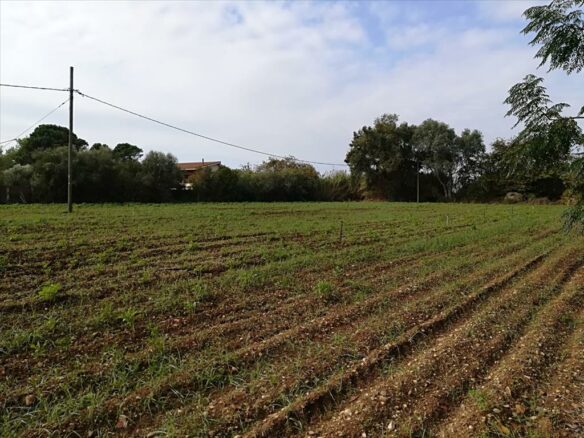Land In Preveza, Greece