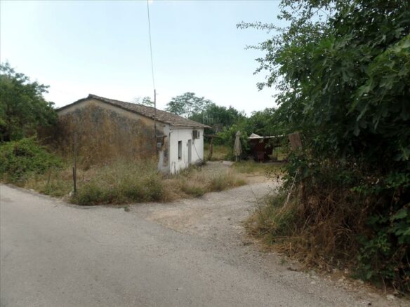 Land In Corfu, Greece