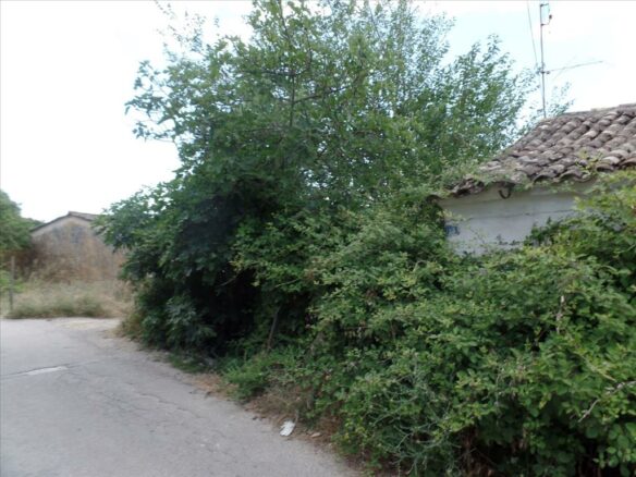 Land In Corfu, Greece