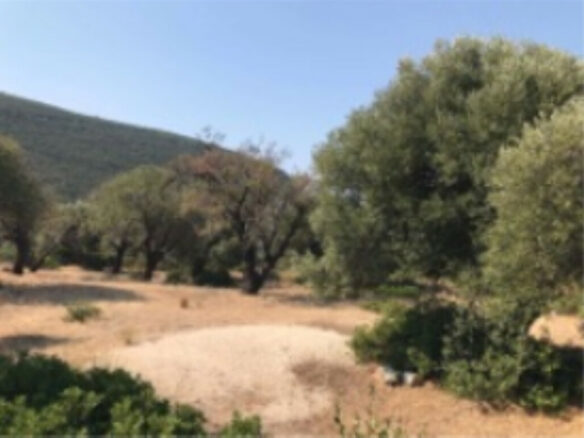 Land In Greece