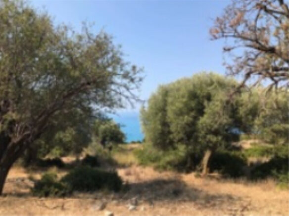 Land In Greece