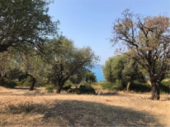 Land In Greece