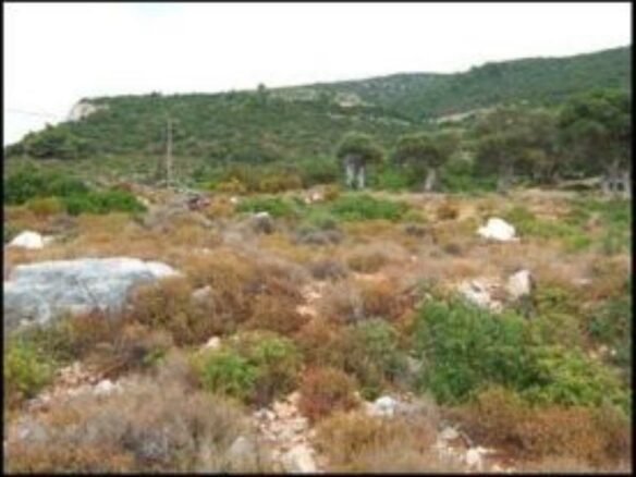 Land In Greece