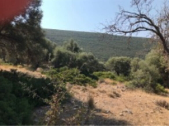 Land In Greece