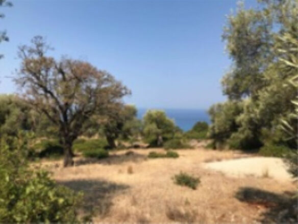 Land In Greece