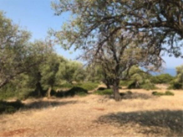 Land In Greece