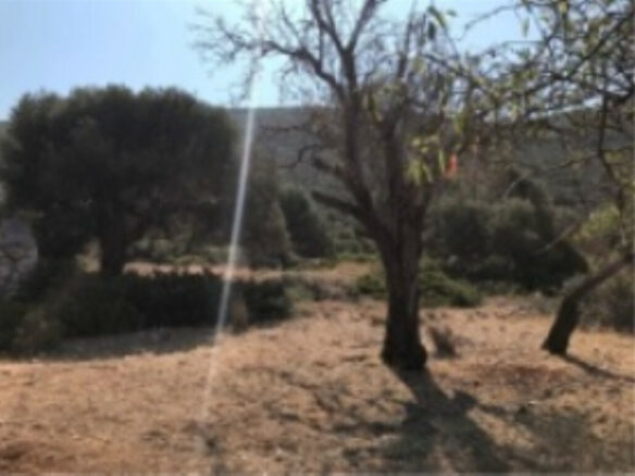 Land In Greece