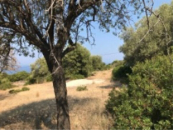 Land In Greece