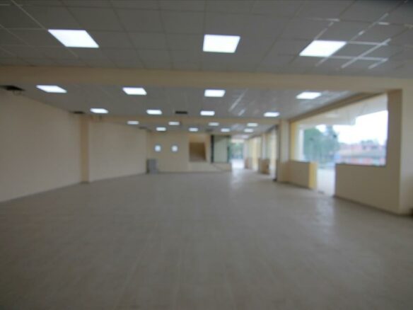 Business In Corfu, Greece (900 M²)
