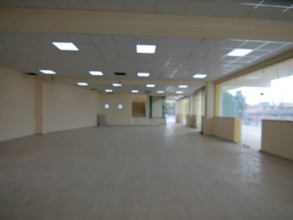 Business In Corfu, Greece (900 M²)