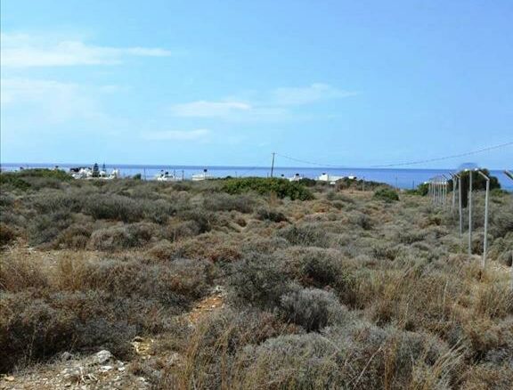 Land In Neapoli, Greece