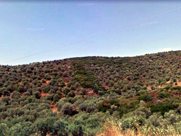 Land In Aristotle, Greece