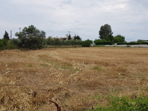 Land In Kassandra, Greece