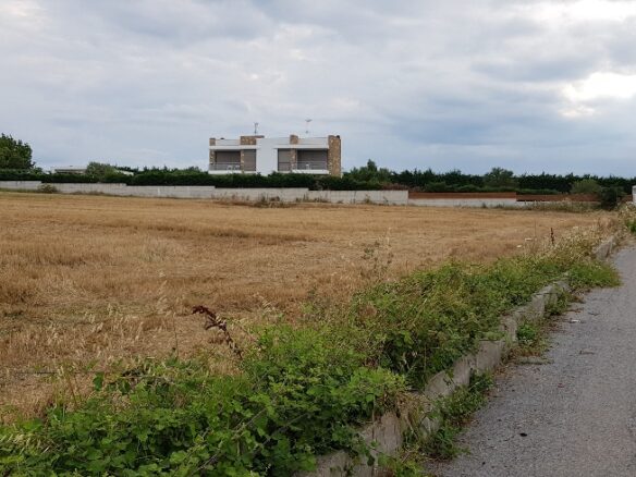 Land In Kassandra, Greece