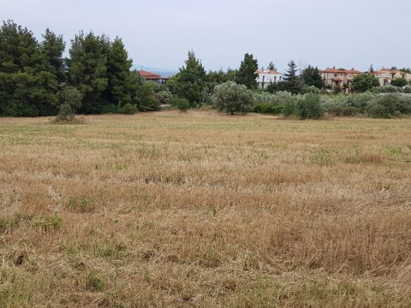 Land In Kassandra, Greece