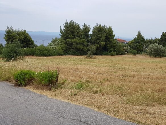 Land In Kassandra, Greece